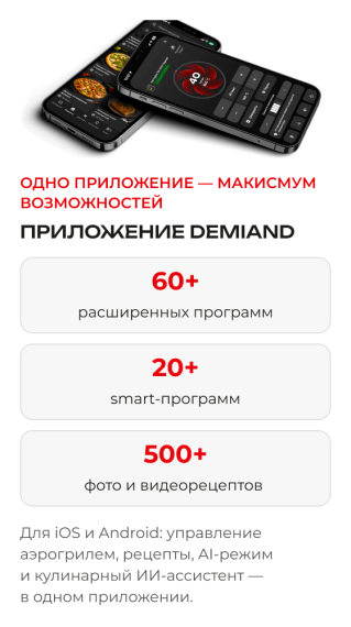 Аэрогриль DEMIAND SANDERS MAX DK-2400/Черный-Wifi